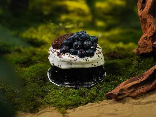 DSC07550 拷贝 Сквиш — Профитроль в шоколаде с ягодами